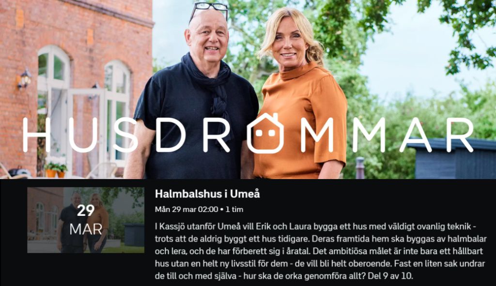 Husdrømmer svt